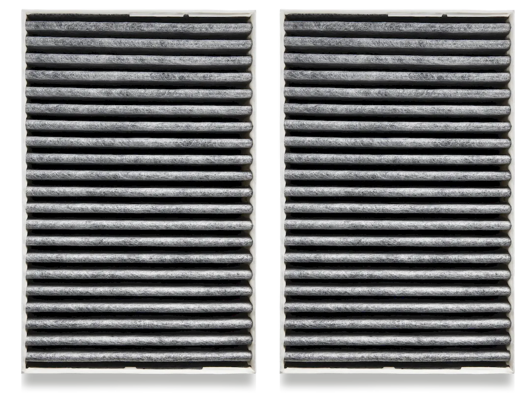 11793450_98150.webp 11793450 98150